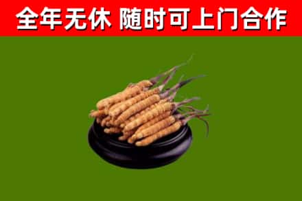 郸城县烟酒回收冬虫夏草.jpg